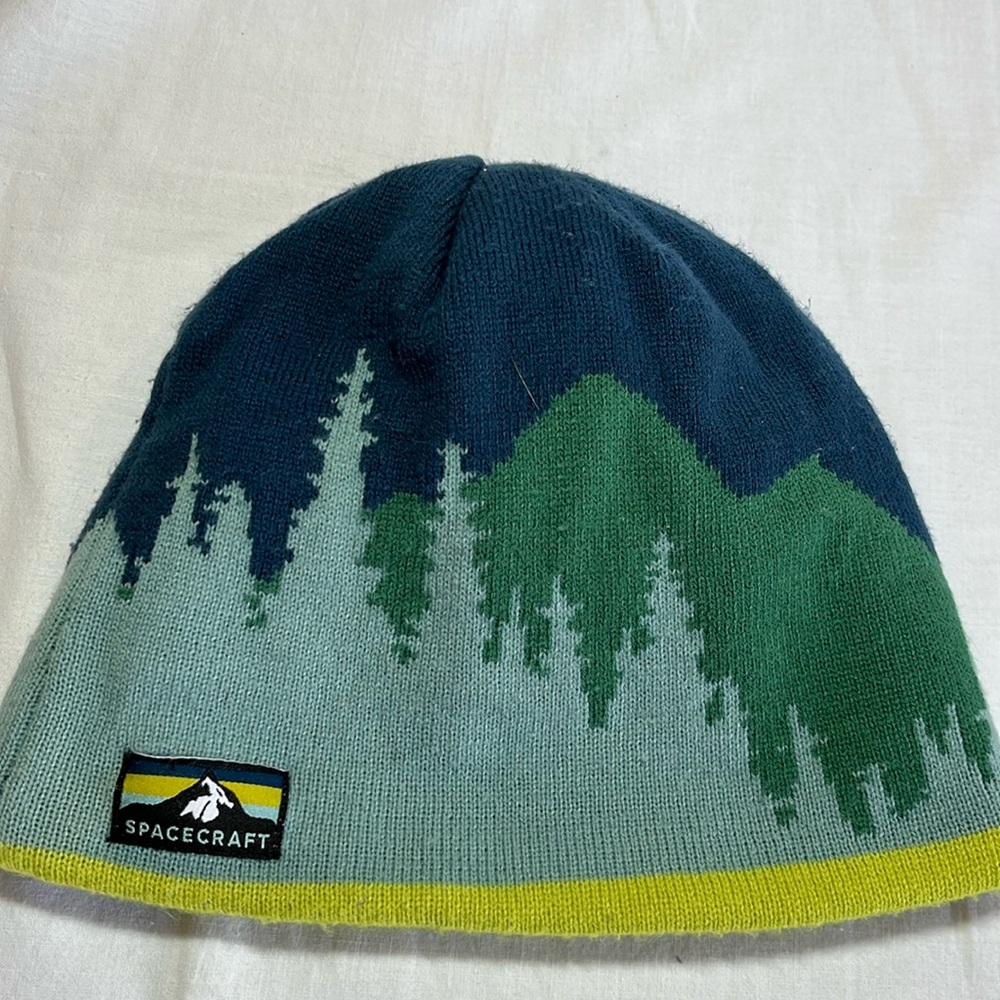 Spacecraft reversible toque